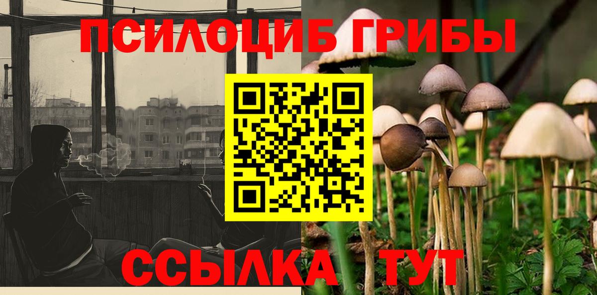 Галлюциногенные грибы Psilocybe  Вход с VPN  Геленджик 