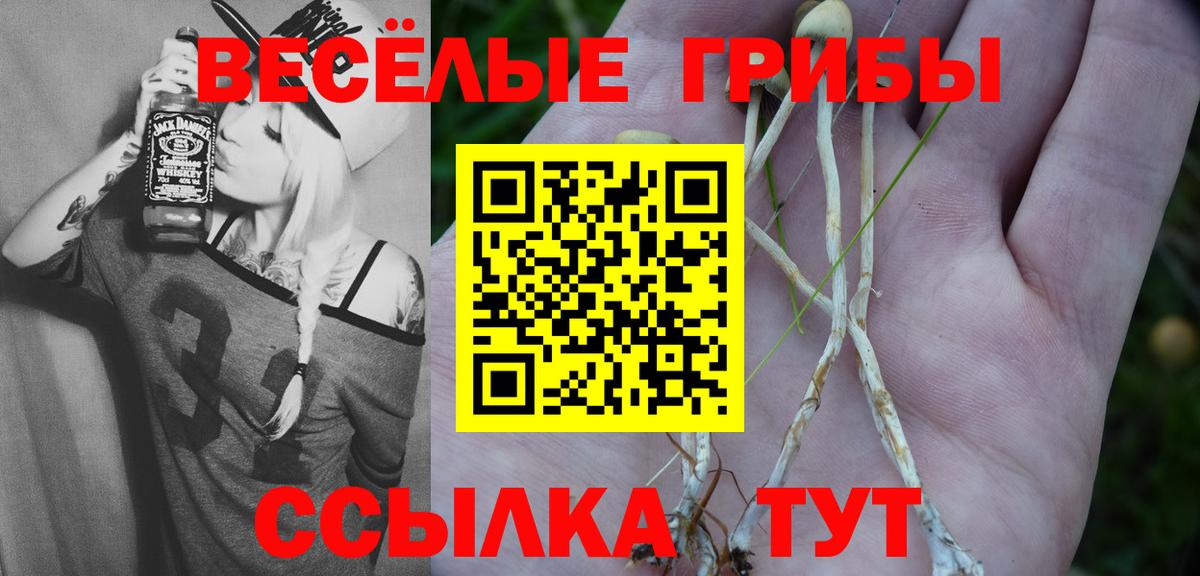 Галлюциногенные грибы мухоморы Геленджик